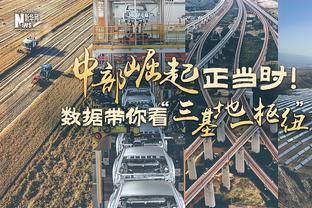 海斯谈从浓眉那学到的东西：对我来说最重要的就是别犯规